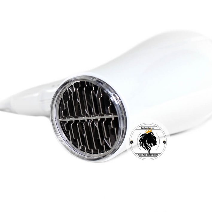 máy sấy Flyco FH6106 2200W