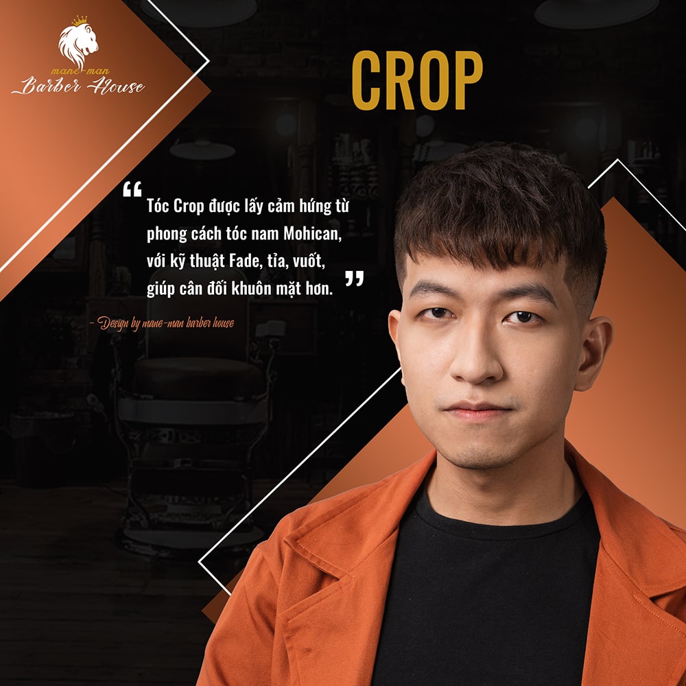 Mẫu tóc nam Crop