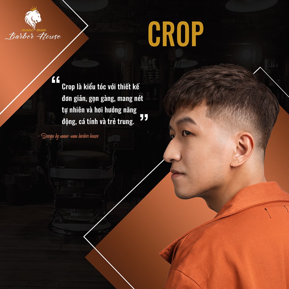 Tóc nam đẹp Crop